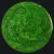 grass-green