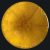 magic-gold-yellow
